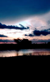 Lake View in Evening