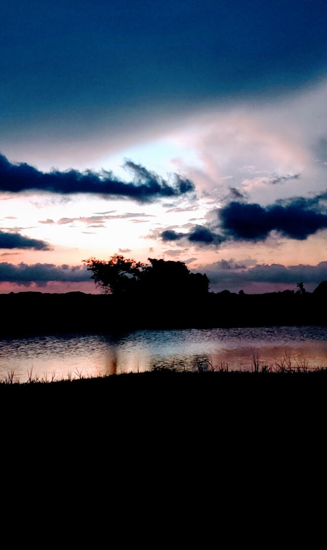 Lake View in Evening