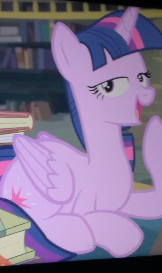 Twilight sparkle