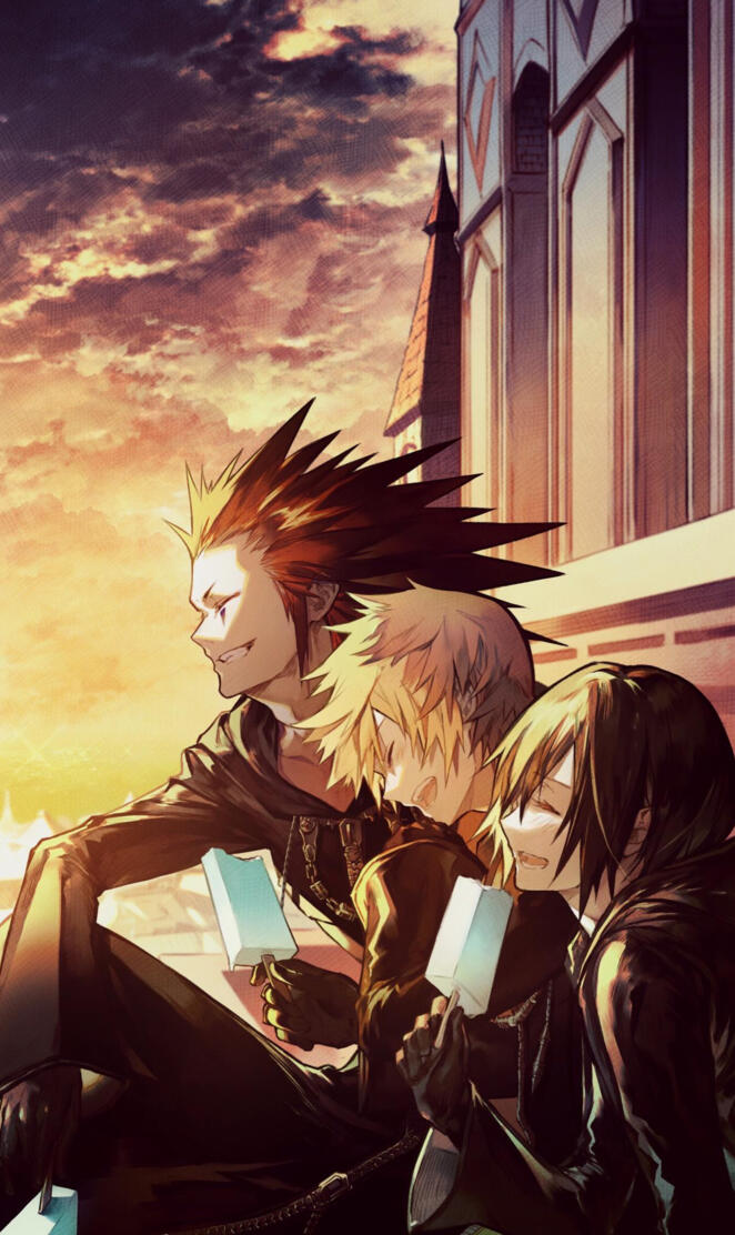 Kingdom hearts 358 2