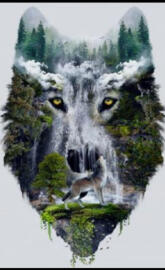 A Wolfs Nature