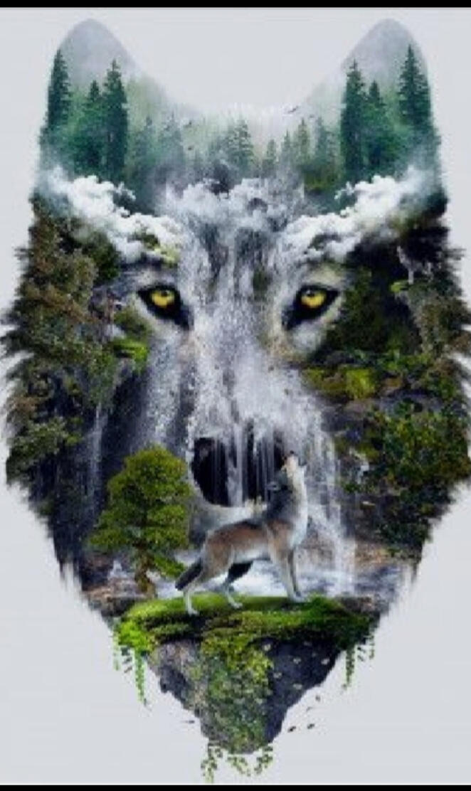 A Wolfs Nature