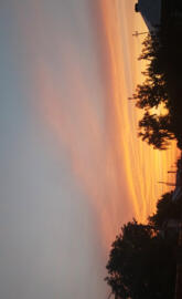 Sunsets for dreamers