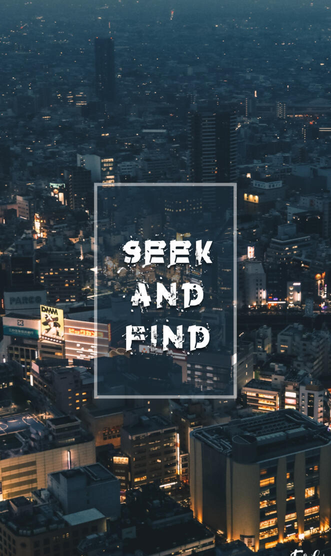 Seek and Find