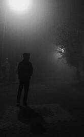 Foggy Man
