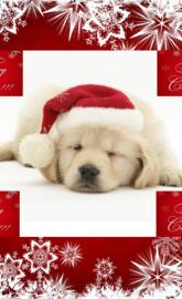 He knows if ur awake