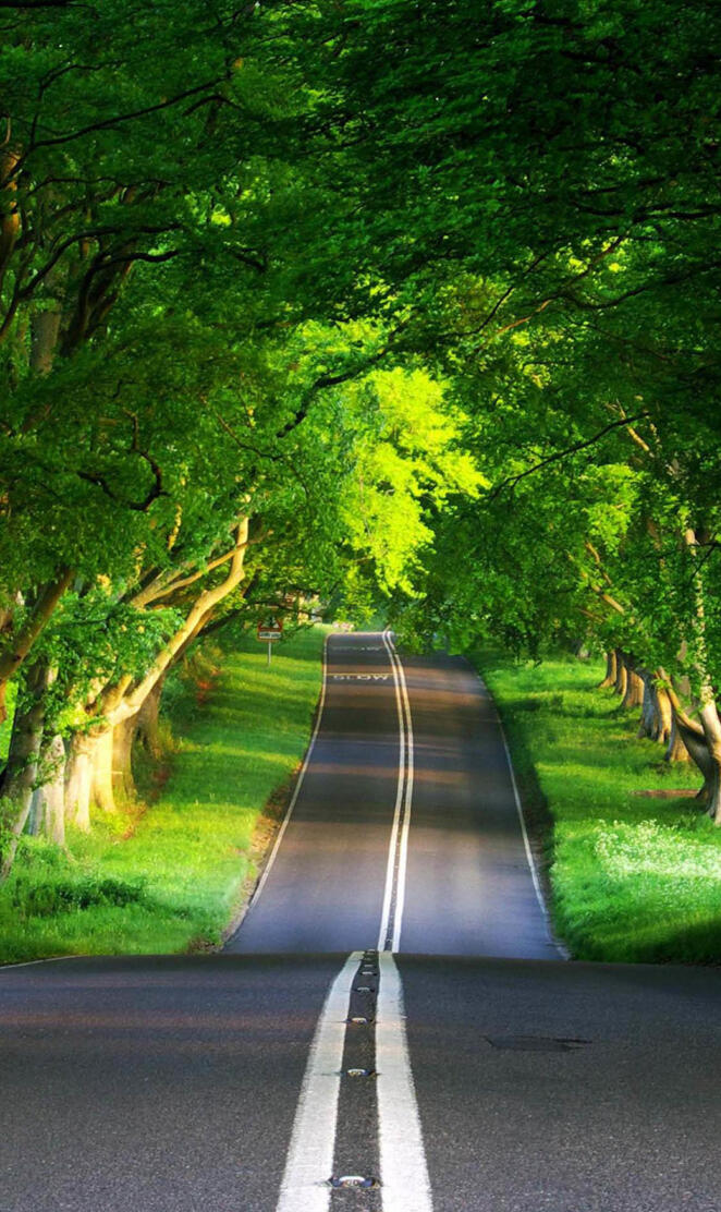 Long Road Of Nature