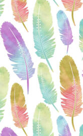 feathers