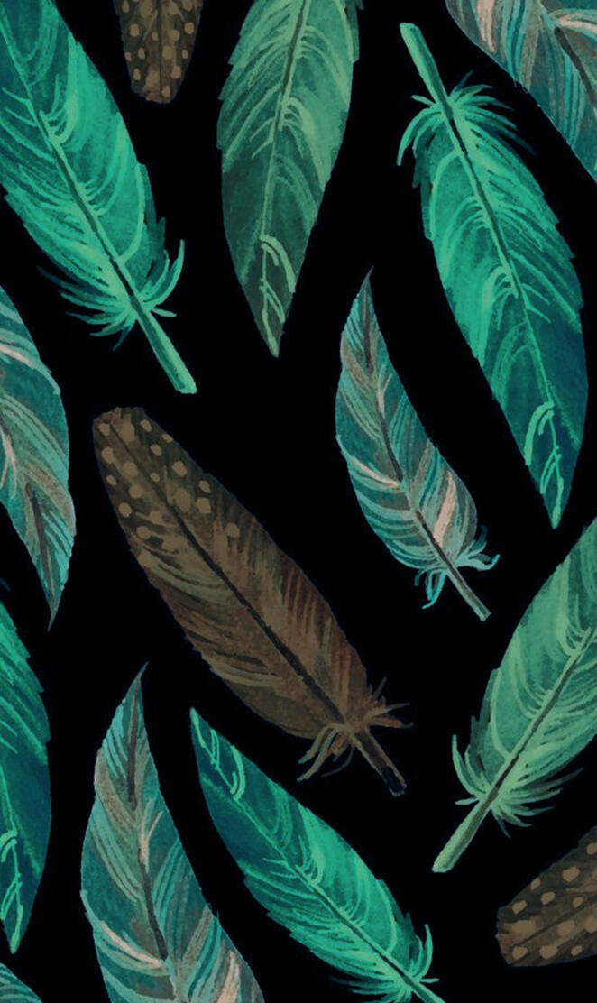 Feathers