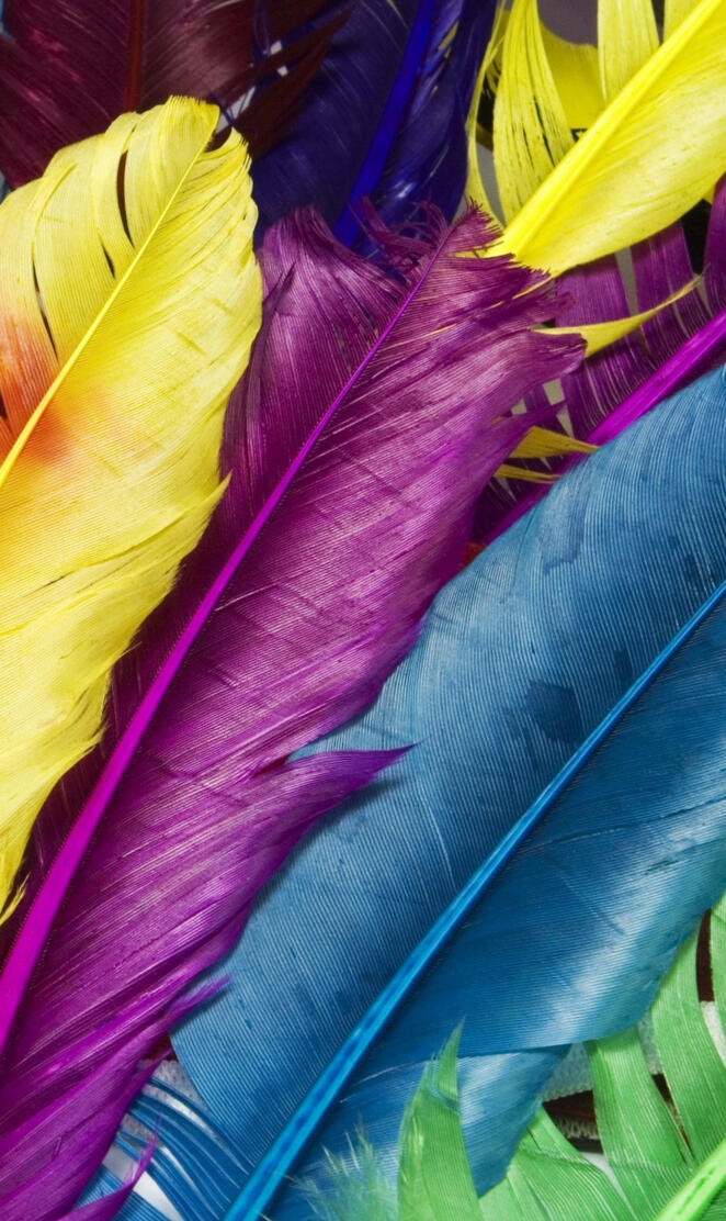 Feathers