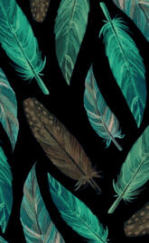 Feathers