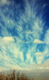 New Mexico Skies