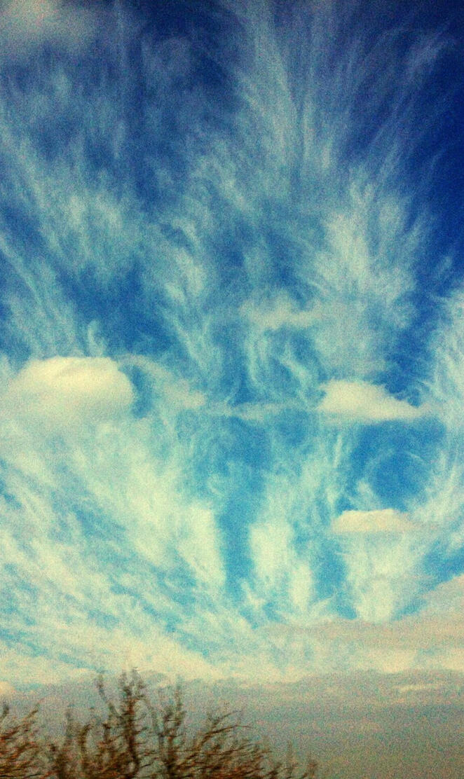 New Mexico Skies