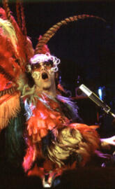Elton John Feathers2