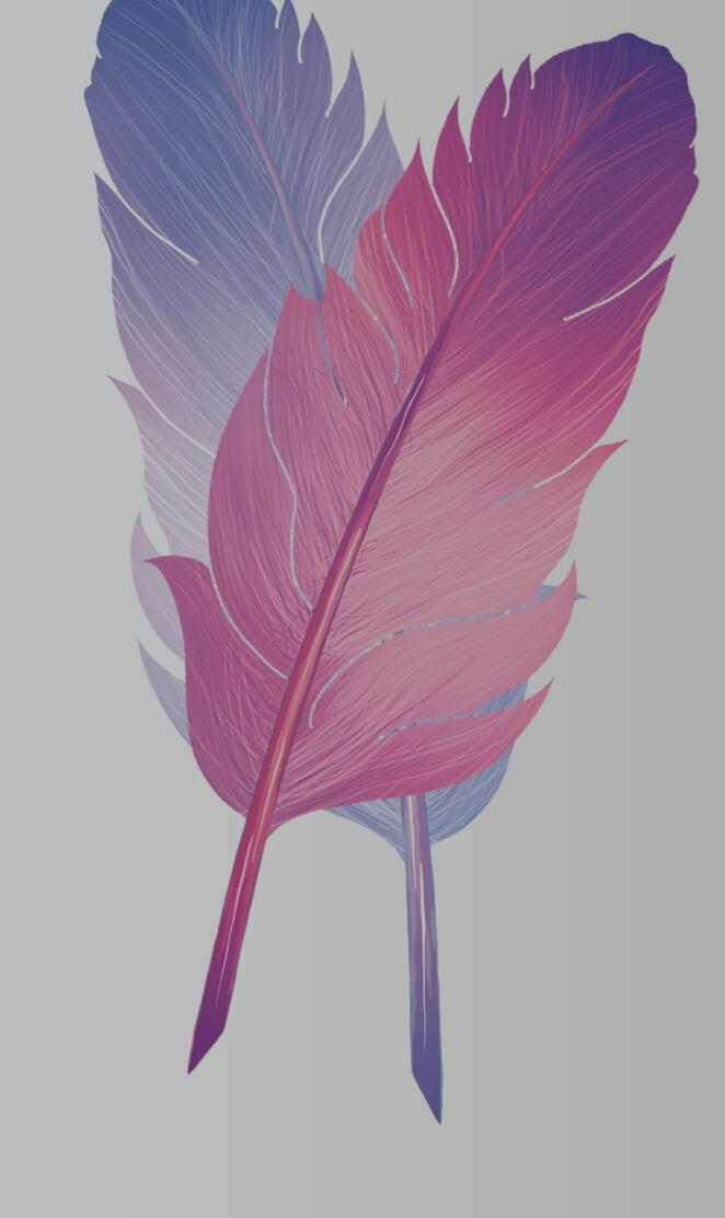 Colorful  feather