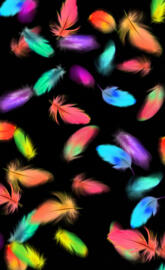 colourful Feathers
