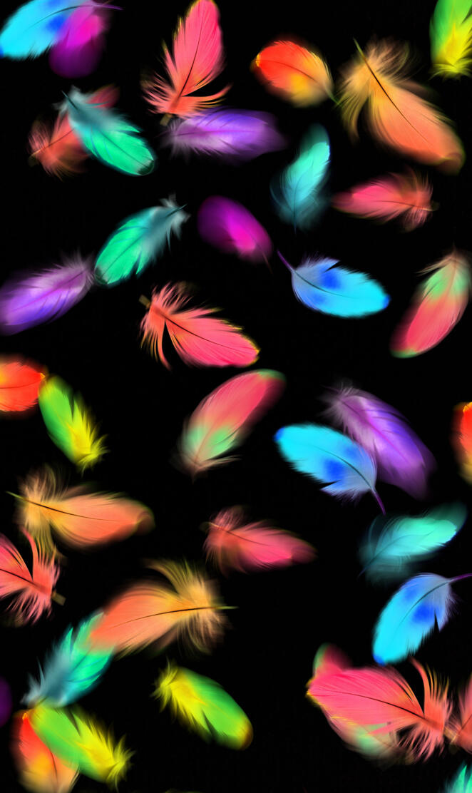 colourful Feathers