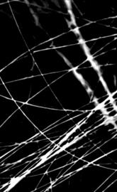 Galaxy S10 wallpaper