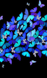 Butterflies