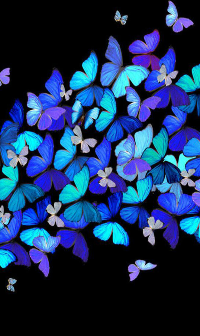 Butterflies