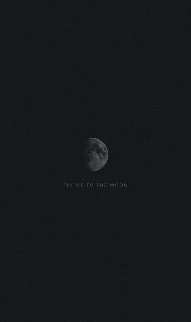 Fly me to the moon