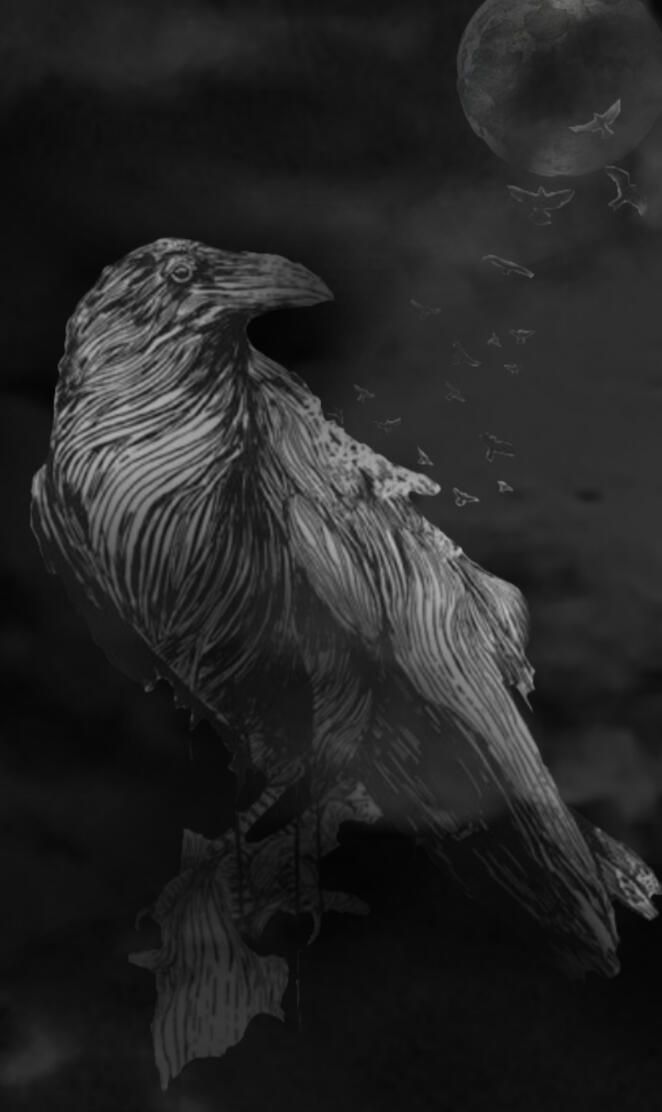 Darkness of the crow