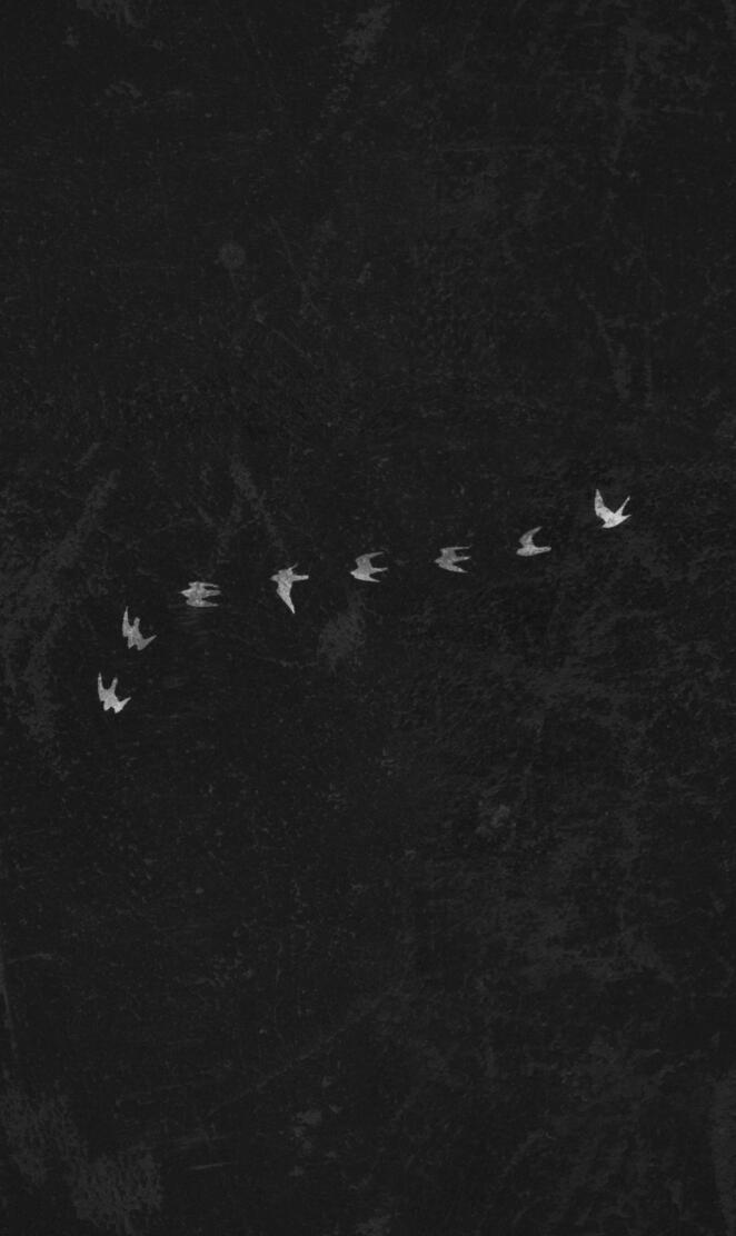 Perigrine BL Version