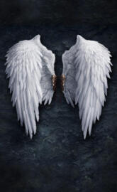 Angel wings