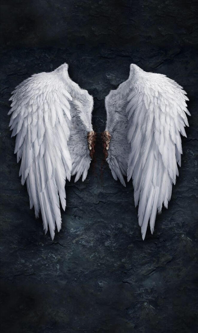 Angel wings