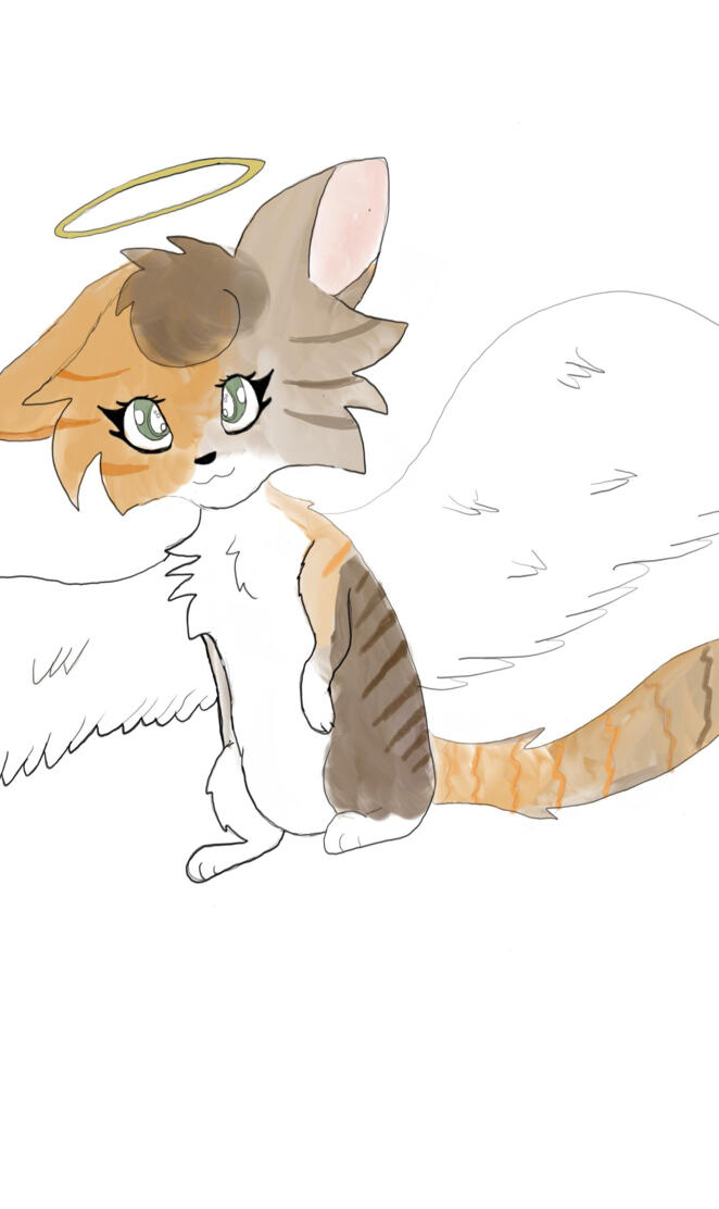 Angel cat with wings