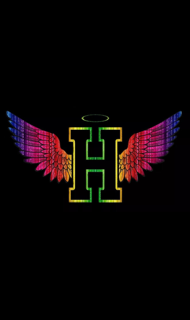 RGB WINGS H