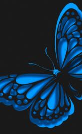 neon blue butterfly