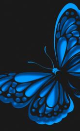 neon blue butterfly