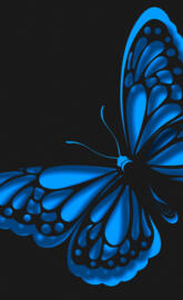 neon blue butterfly