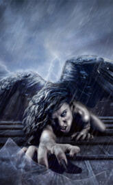 Fallen Angel in Rain