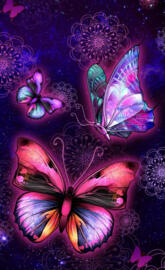 HD 3D Butterflies