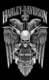 Harley Skull Logo