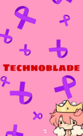 Technoblade support