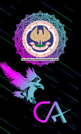 Chartered Accountants