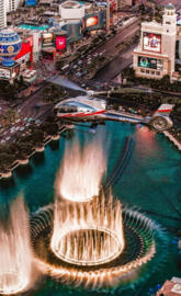 Bellagio hotel and cas