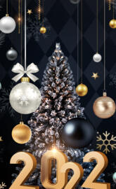 Christmas NewYear 2022