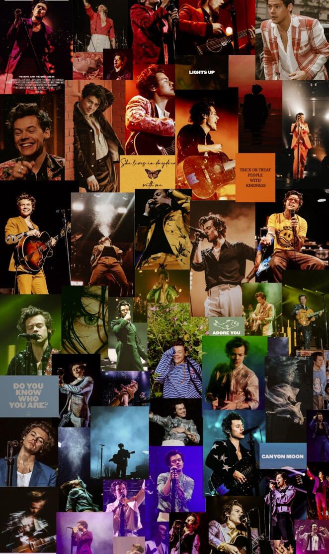 Harry styles rainbow