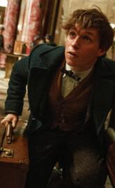 Fantastic Beasts