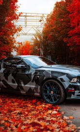 True Car Mustang