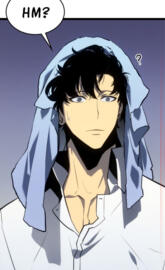 Solo levelin wallpaper