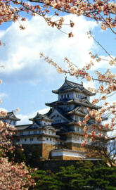 Mistry City Of Japan