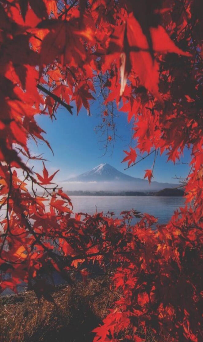 Lake kawaguchi