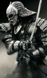 47 Ronin