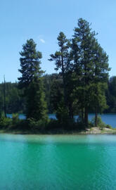 Horseshoe Lake