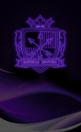 Sanfrecce NEON